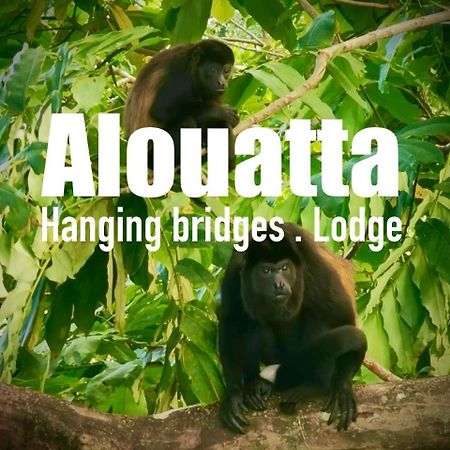 Alouatta Lodge And Canopy Cahuita Kültér fotó