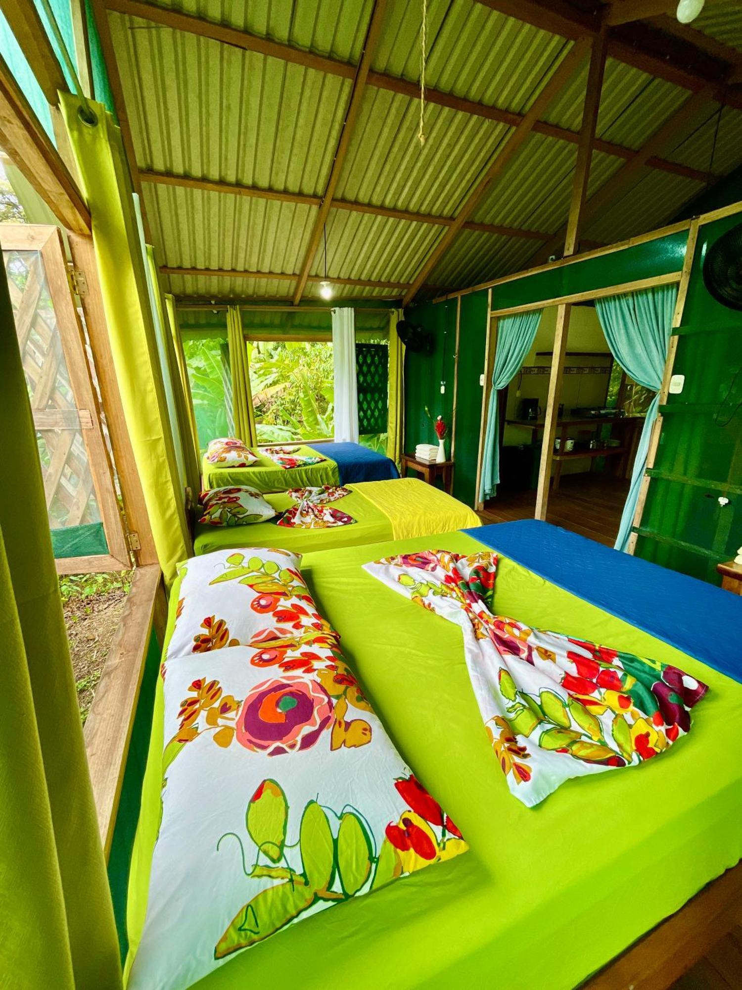 Alouatta Lodge And Canopy Cahuita Kültér fotó