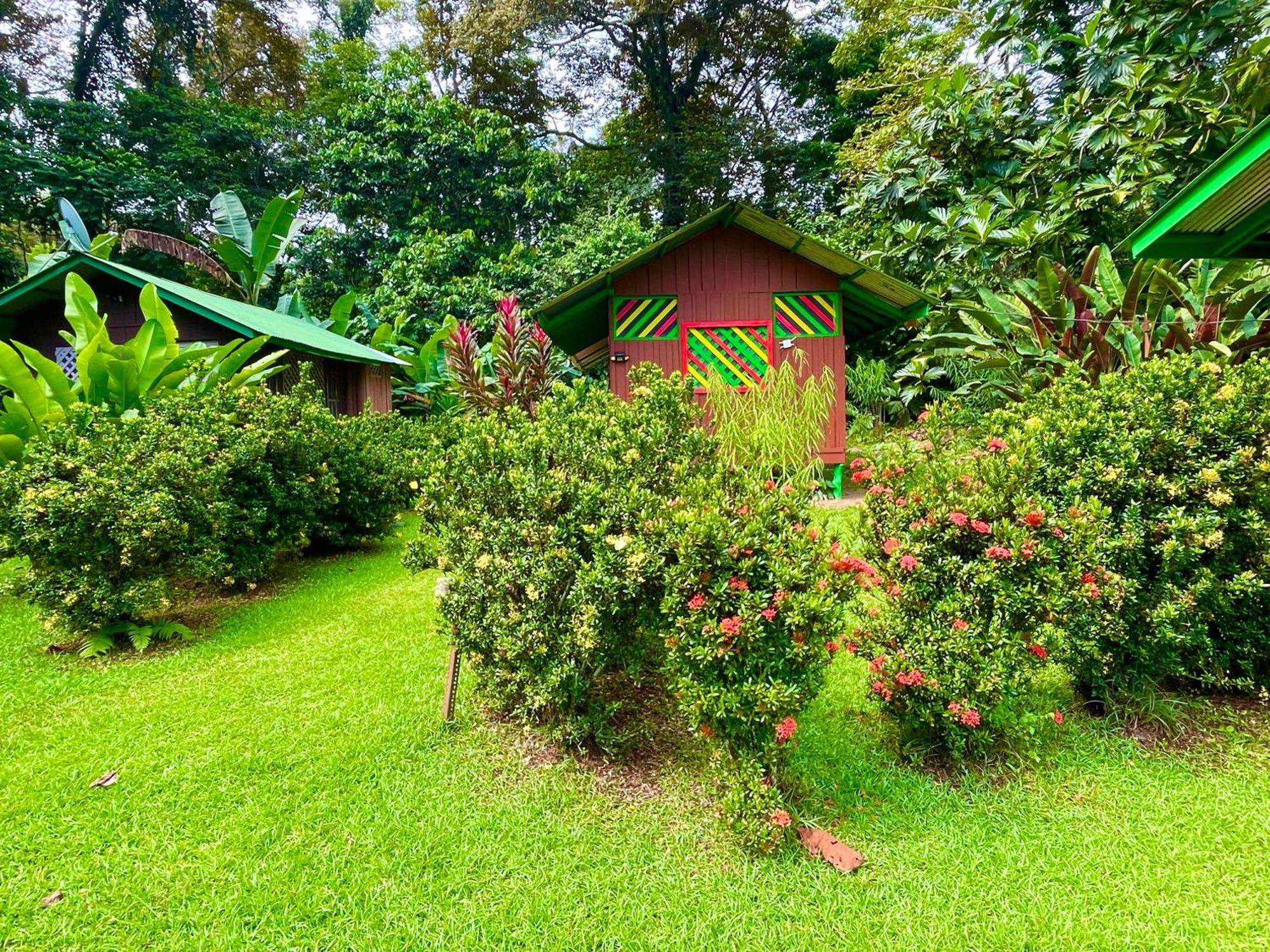 Alouatta Lodge And Canopy Cahuita Kültér fotó