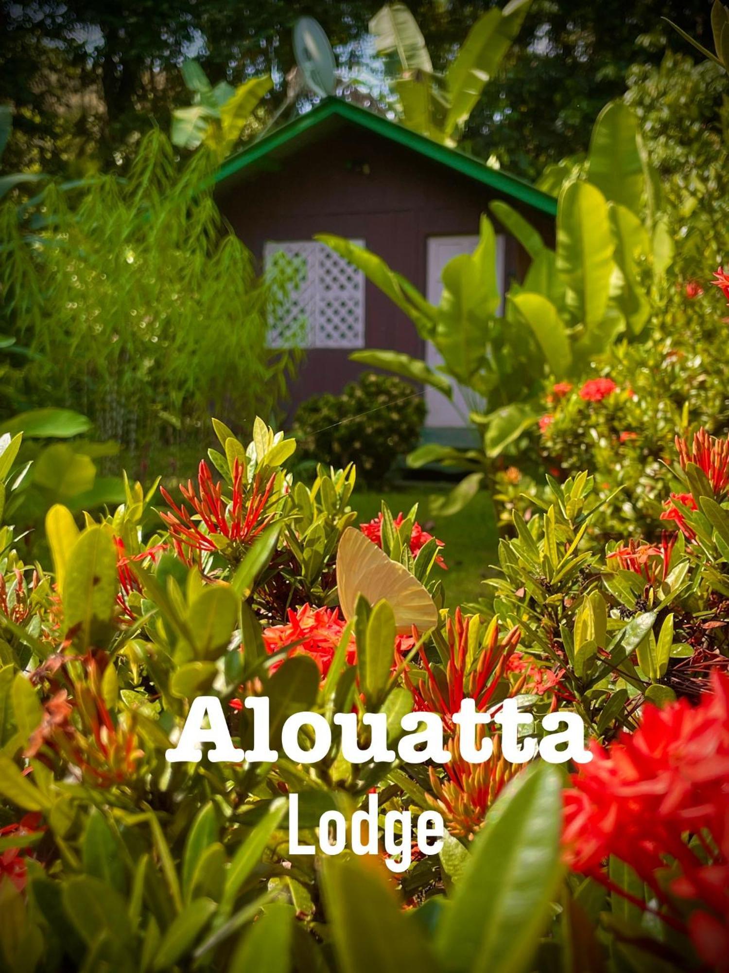 Alouatta Lodge And Canopy Cahuita Kültér fotó