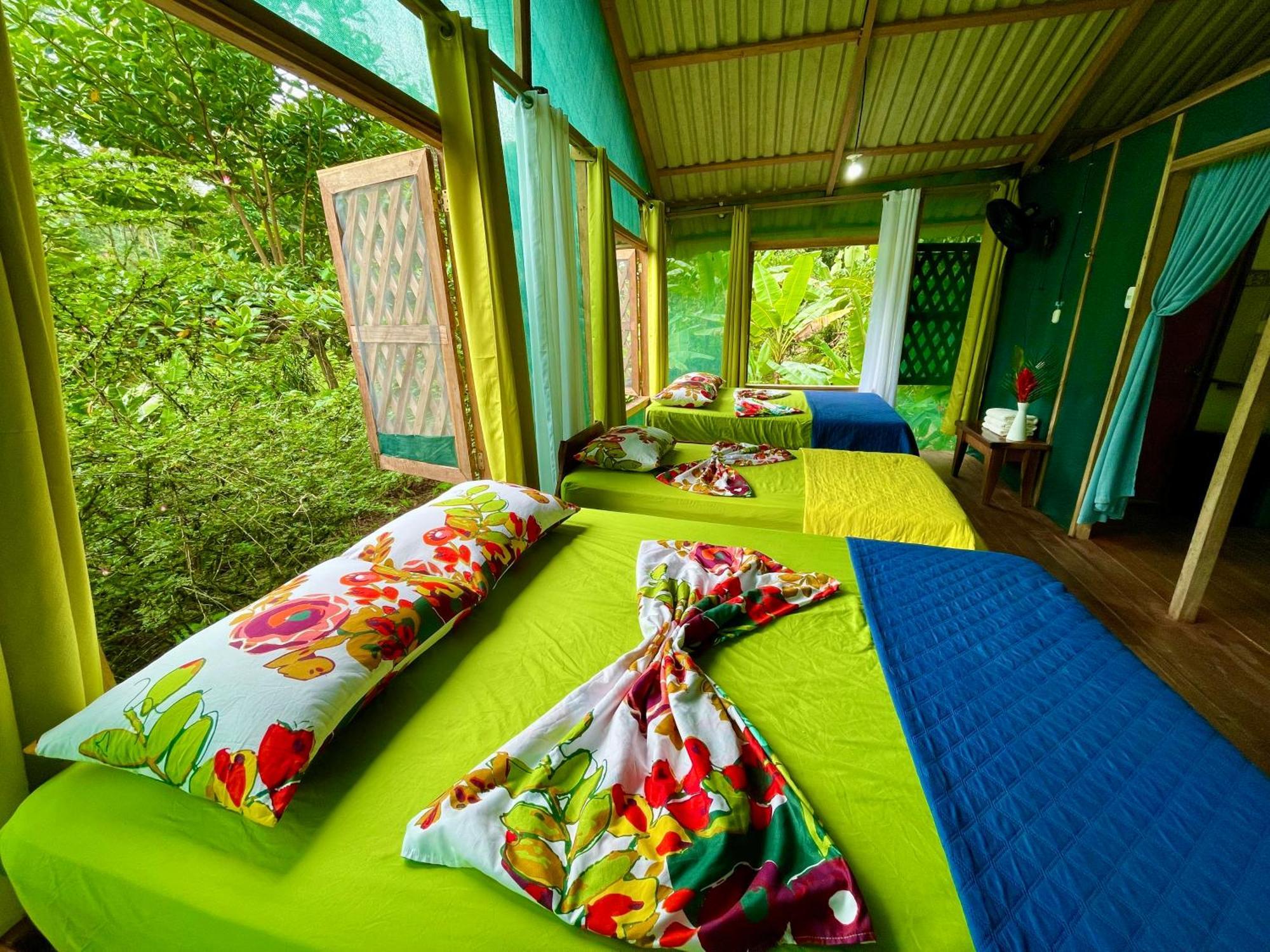 Alouatta Lodge And Canopy Cahuita Kültér fotó