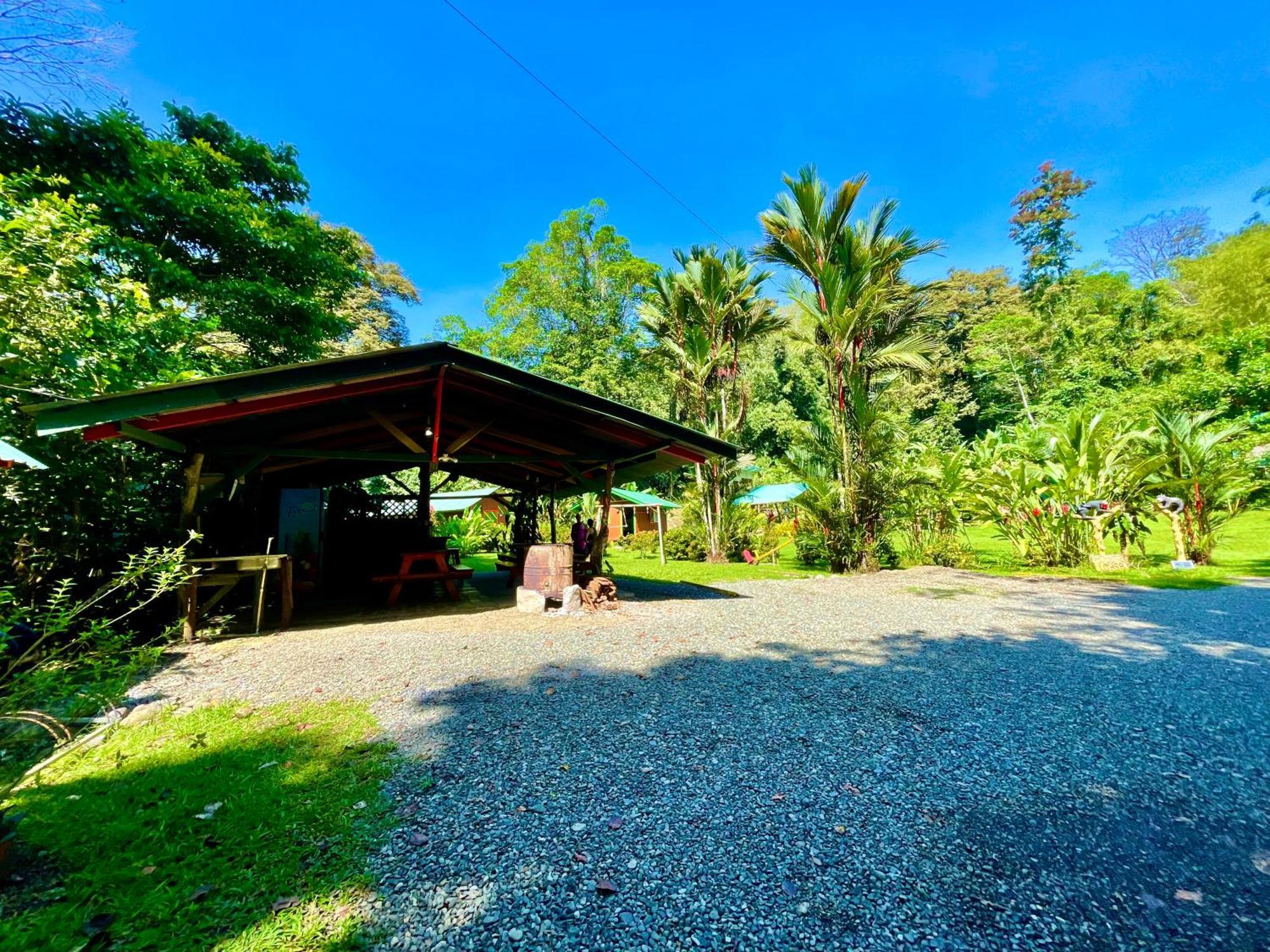 Alouatta Lodge And Canopy Cahuita Kültér fotó