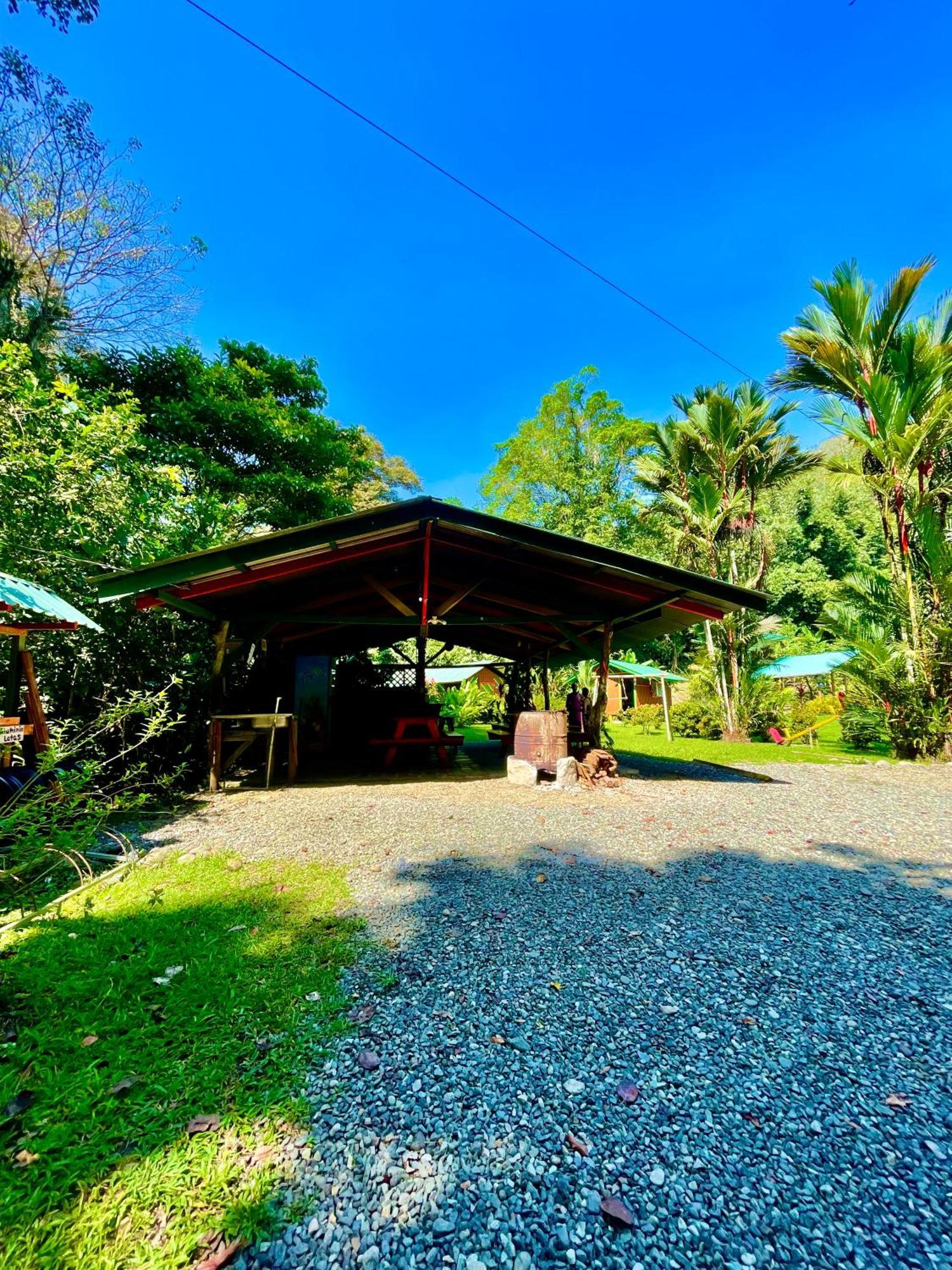 Alouatta Lodge And Canopy Cahuita Kültér fotó