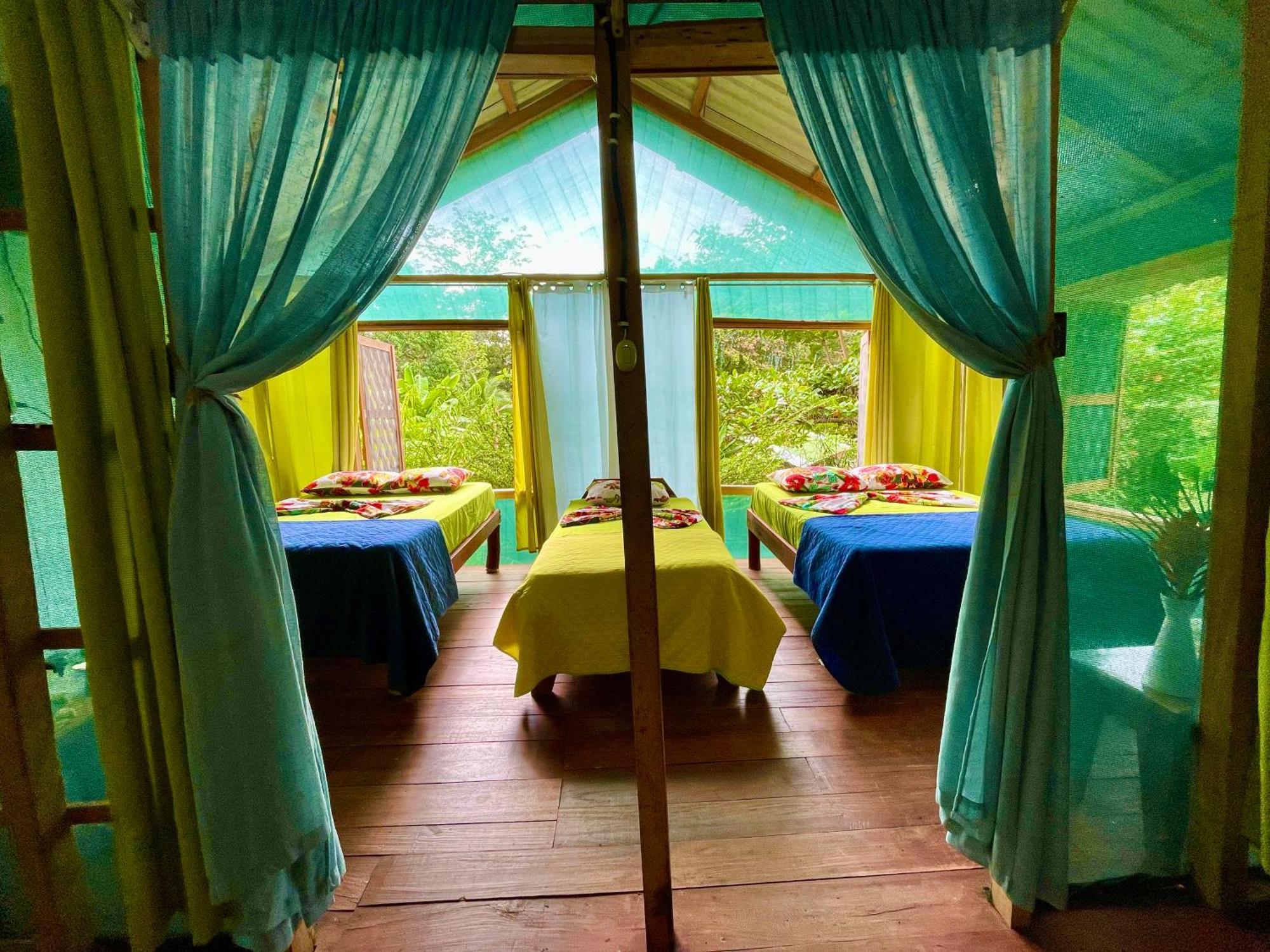 Alouatta Lodge And Canopy Cahuita Kültér fotó