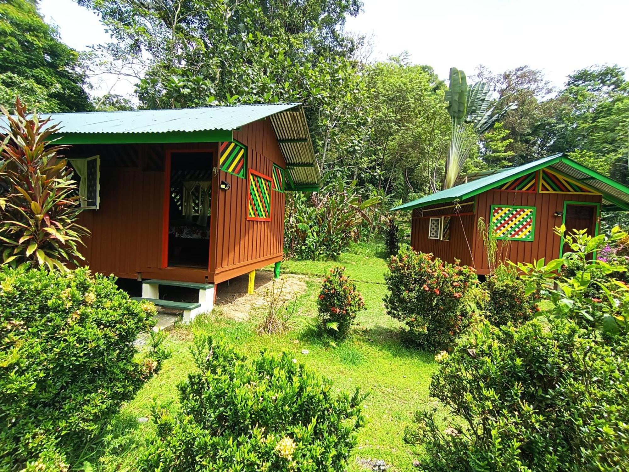 Alouatta Lodge And Canopy Cahuita Kültér fotó
