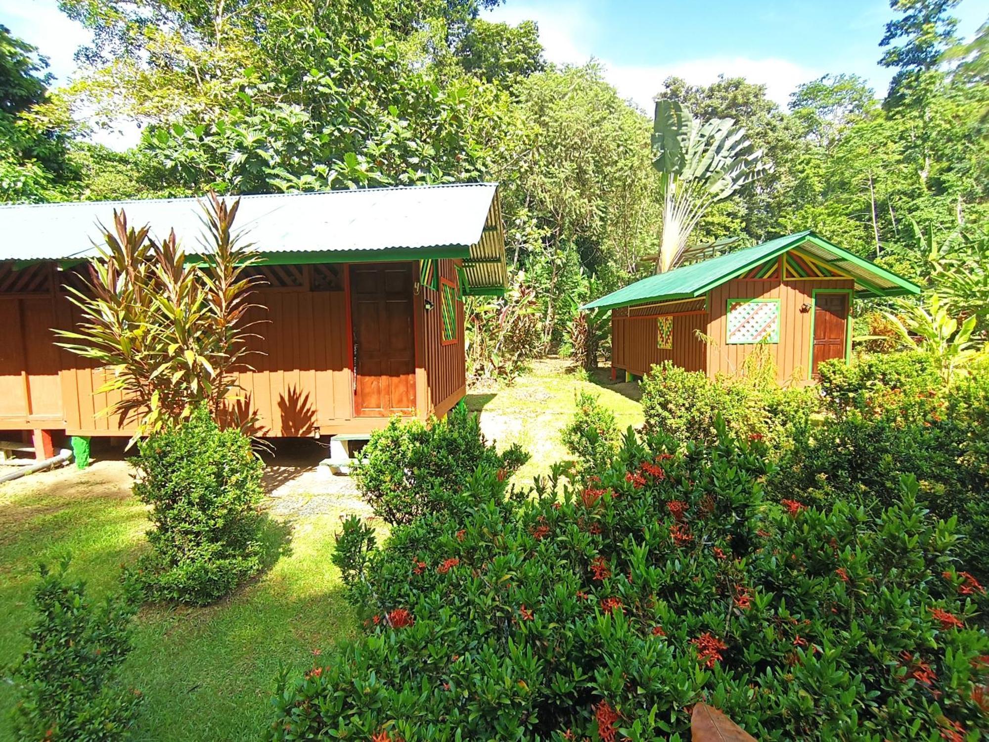 Alouatta Lodge And Canopy Cahuita Kültér fotó
